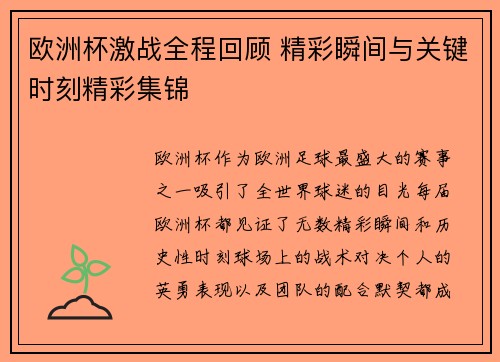 欧洲杯激战全程回顾 精彩瞬间与关键时刻精彩集锦