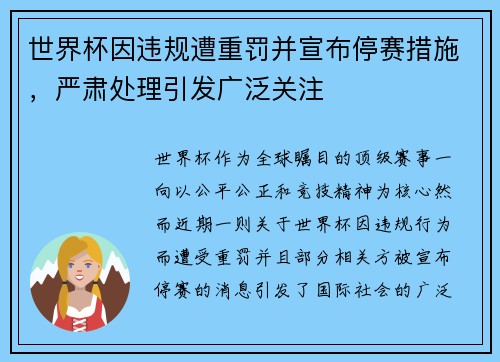 世界杯因违规遭重罚并宣布停赛措施，严肃处理引发广泛关注